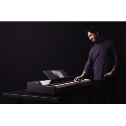 	Pianos numériques portables - Yamaha - P-S500 (NOIR)