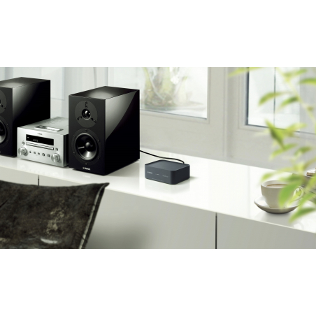 Lecteurs audio réseaux - Yamaha - WXAD-10