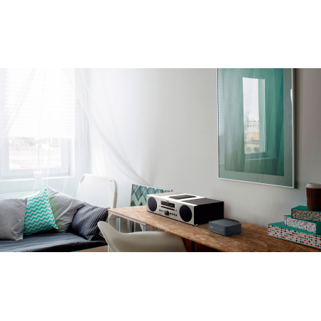 Lecteurs audio réseaux - Yamaha - WXAD-10