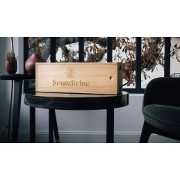 	Enceintes portables - Soundivine - Le Magnum