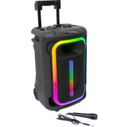 Enceintes Bluetooth Portables - Ibiza Sound - MOBILE800