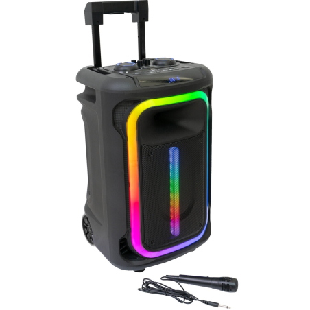 Enceintes Bluetooth Portables - Ibiza Sound - MOBILE800