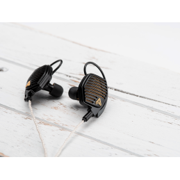 	Casques intra auriculaires - Audeze - LCD I4