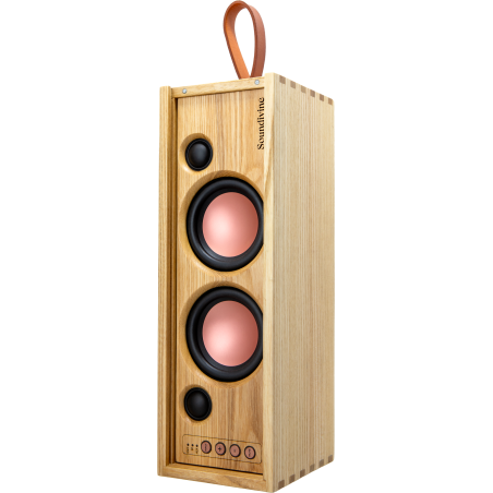 Enceintes Bluetooth Portables - Soundivine - THE BOTTLE