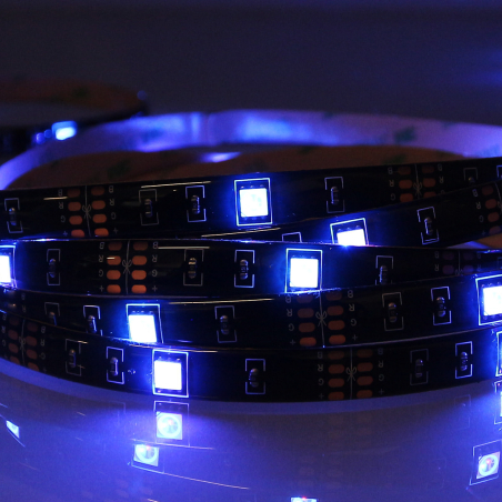 Rubans LED - Power Lighting - LED STRIP IP65 5M