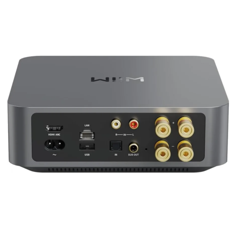 Lecteurs audio réseaux - WiiM - WiiM Amp Noir