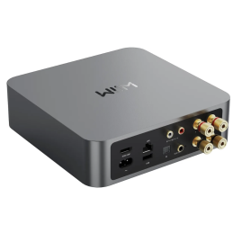 	Lecteurs audio réseaux - WiiM - WiiM Amp Noir