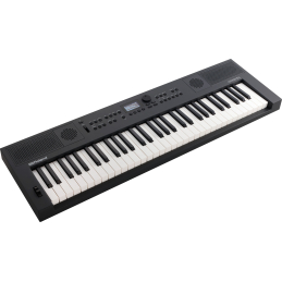 	Claviers arrangeurs - Roland - GO:KEYS 5 (GRAPHITE)