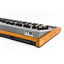 	Synthé analogiques - Moog - MOOG ONE 16