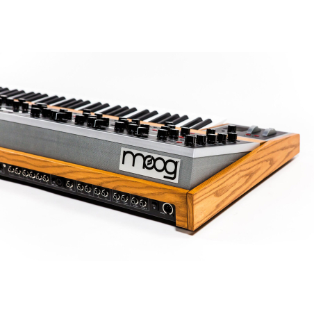 Synthé analogiques - Moog - MOOG ONE 16