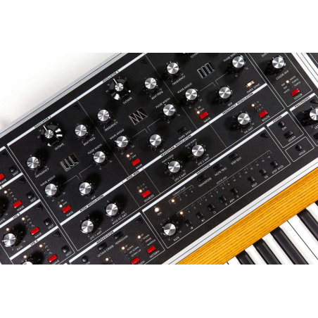 Synthé analogiques - Moog - MOOG ONE 16