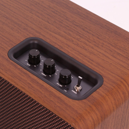 	Enceintes portables - Enova Hifi - VELA V