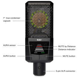 	Micros studio - Lewitt - RAY