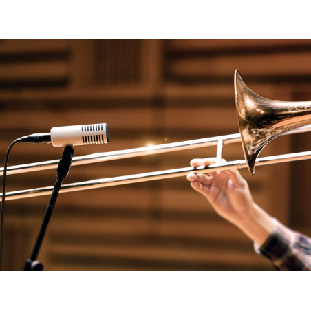 Micros instruments - Universal Audio - SD-7