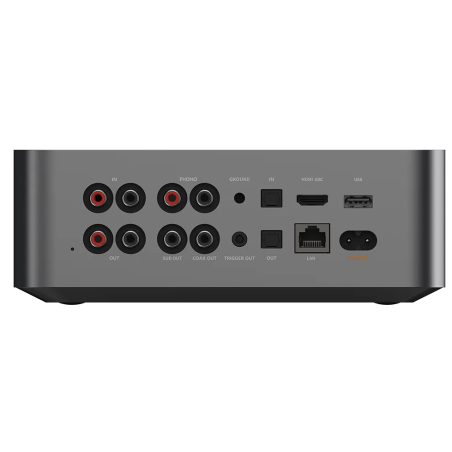 Lecteurs audio réseaux - WiiM - WiiM Ultra Noir