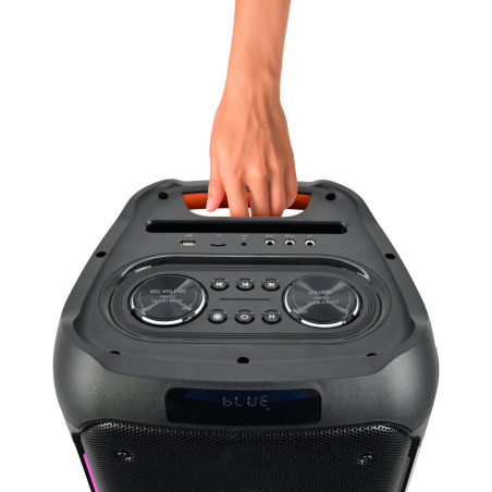 Enceintes Bluetooth Portables - Ibiza Sound - COLUMBA1200