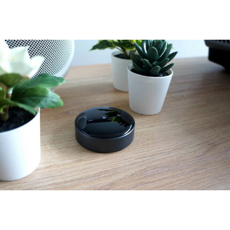 Lecteurs audio réseaux - WiiM - WiiM Mini