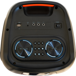 	Enceintes Bluetooth Portables - Ibiza Sound - COLUMBA800