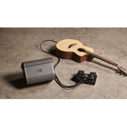	Enceintes amplifiées sur batteries - Alto Professionnal - BUSKER EDITION ED SHEERAN