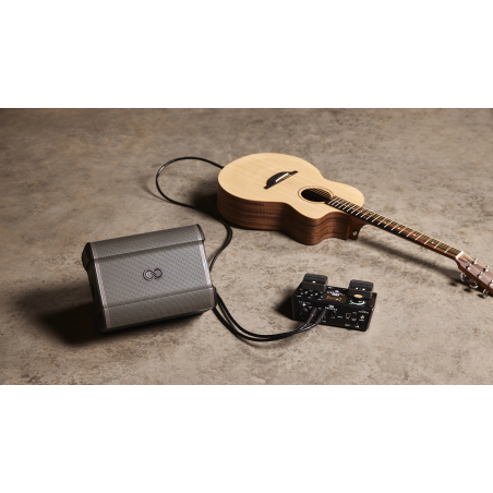 Enceintes amplifiées sur batteries - Alto Professionnal - BUSKER EDITION ED SHEERAN