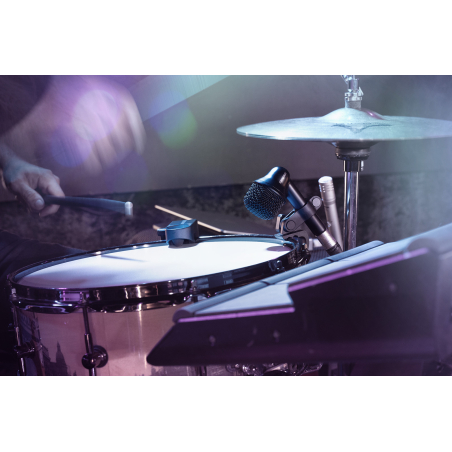 Micros instruments - Shure - Nexadyne 6