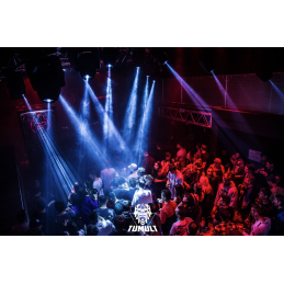 	Lyres hybrides - Chauvet DJ - Intimidator Hybrid 251SR