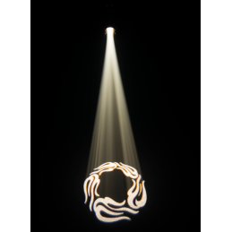 	Projecteurs PAR LED - Chauvet DJ - EVE E-160ZQ