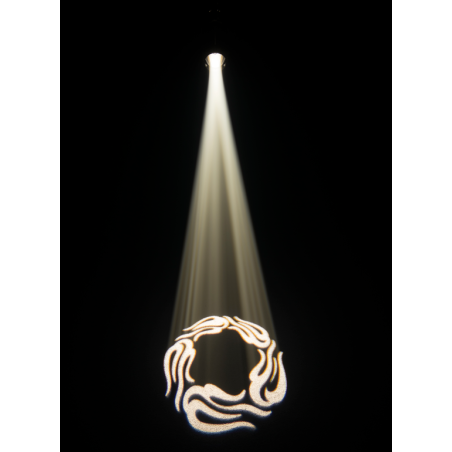 Projecteurs PAR LED - Chauvet DJ - EVE E-160ZQ