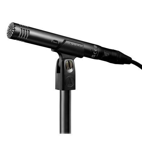 Micros instruments - Audio-Technica - AT2031
