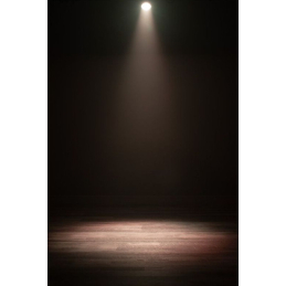 	Projecteurs PAR LED - ADJ - DOTZ PAR RGBL