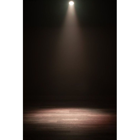 Projecteurs PAR LED - ADJ - DOTZ PAR RGBL