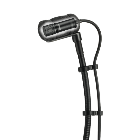 Micros instruments - Audio-Technica - ATM350GL