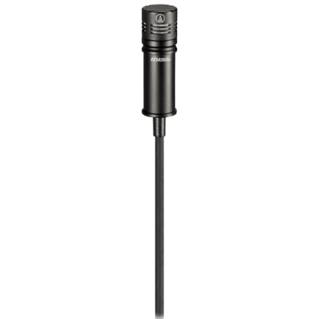 Micros instruments - Audio-Technica - ATM350W