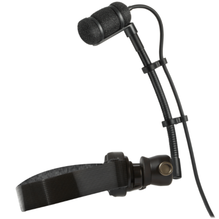Micros instruments - Audio-Technica - ATM350W