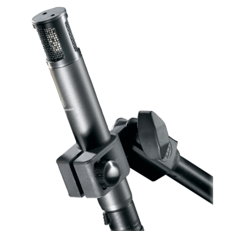 Micros instruments - Audio-Technica - ATM450
