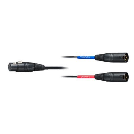 Micros instruments - Audio-Technica - AE2500
