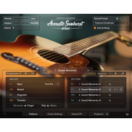 	Logiciels instruments virtuels - Native Instruments - KOMPLETE 15  COLLECTOR'S...