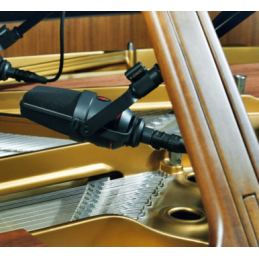 	Micros studio - Neumann - TLM 170 R MT
