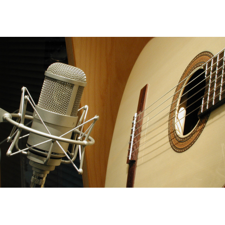 Micros studio - Neumann - M 147 Tube (230 V)