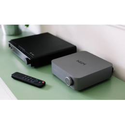 	Lecteurs audio réseaux - WiiM - WiiM Amp Pro Space Gray