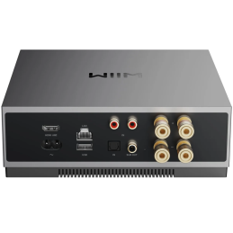 	Lecteurs audio réseaux - WiiM - WiiM CI Mod A80