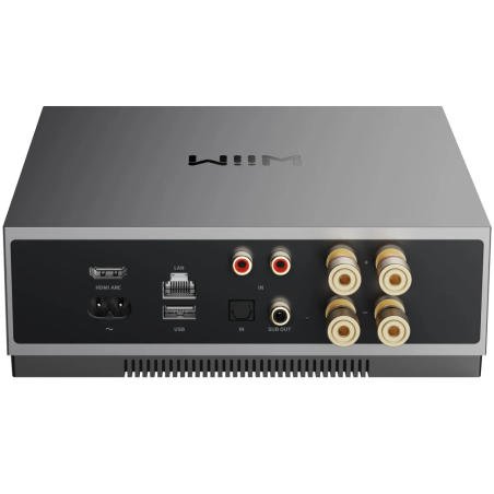Lecteurs audio réseaux - WiiM - WiiM CI Mod A80