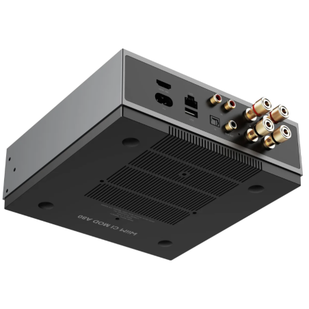 Lecteurs audio réseaux - WiiM - WiiM CI Mod A80