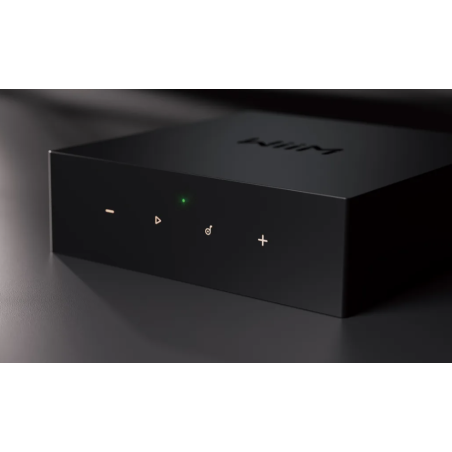 Lecteurs audio réseaux - WiiM - WiiM CI Mod S