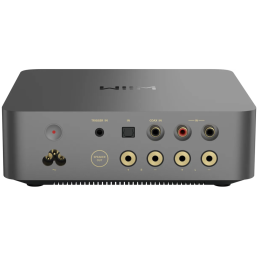 	Amplis stéréo hifi - WiiM - WiiM VibeLink Amp Noir