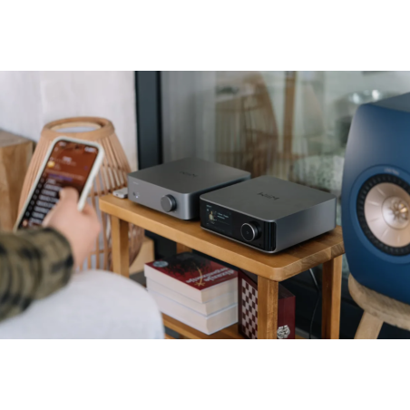 Amplis stéréo hifi - WiiM - WiiM VibeLink Amp Noir