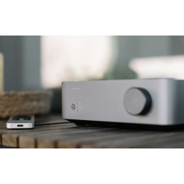 	Amplis stéréo hifi - WiiM - WiiM VibeLink Amp Silver