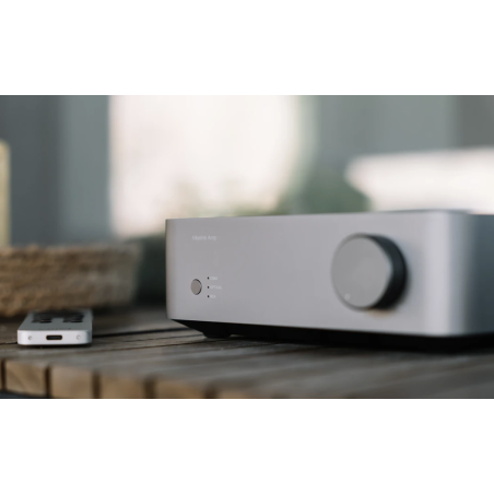 Amplis stéréo hifi - WiiM - WiiM VibeLink Amp Silver