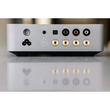 Amplis stéréo hifi - WiiM - WiiM VibeLink Amp Silver
