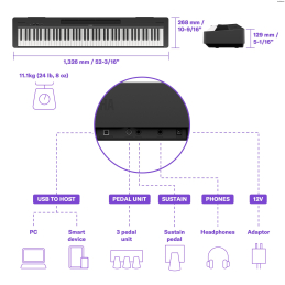 	Pianos numériques portables - Yamaha - P-145BT